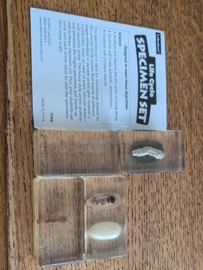Lakeshore Life Cycle Specimen Set - Clear Blocks with Natural Specimens